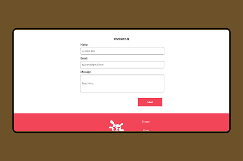 Website Display on different screens